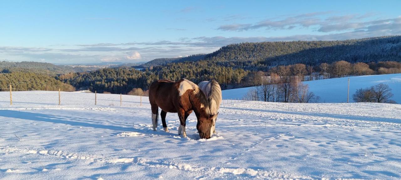 Urlaub An Der Grenze Daire Lauterbach  Dış mekan fotoğraf