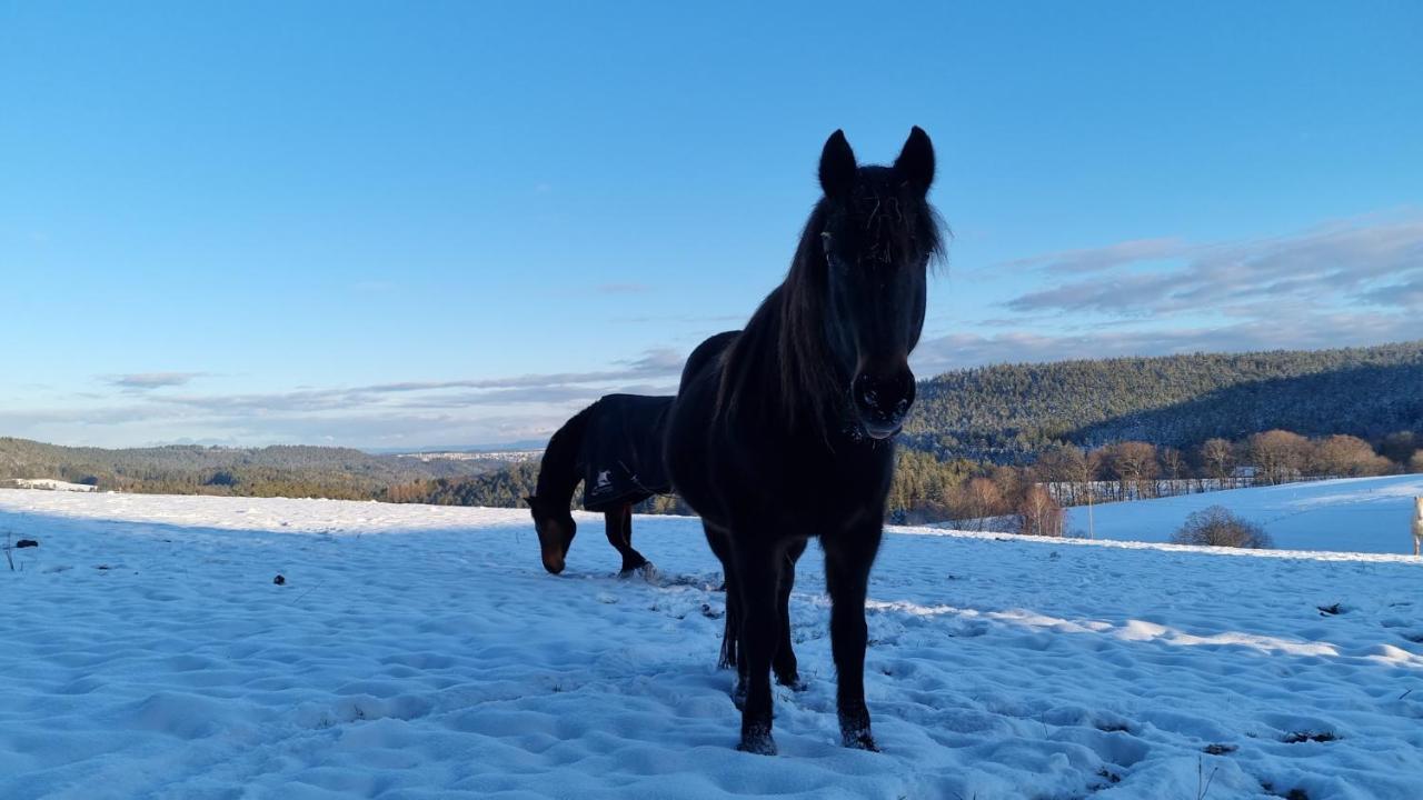 Urlaub An Der Grenze Daire Lauterbach  Dış mekan fotoğraf